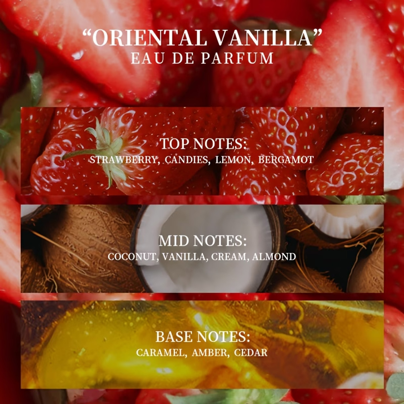 زجاجة واحدة من عطر رول أون برا - مراجعة On Perfume & Fragrance Kota Bogor وسعره